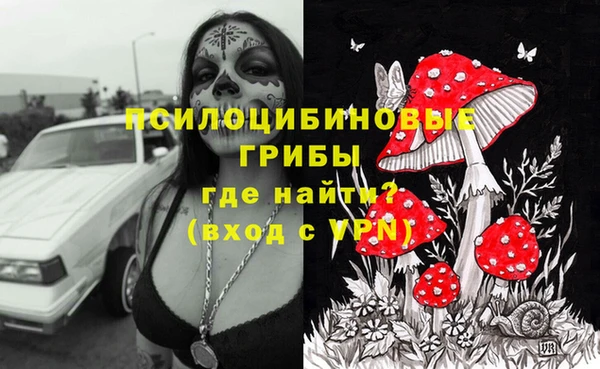 дмт Алексин