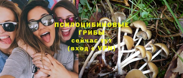дмт Алексин