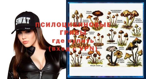 не бодяженный Алзамай