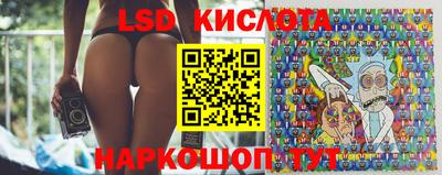 стафф Шебекино