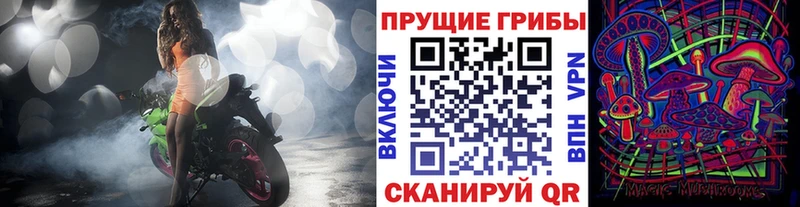 наркотики  Кондопога  Псилоцибиновые грибы ЛСД 