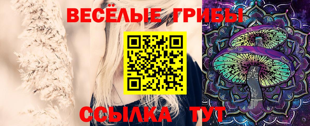 Галлюциногенные грибы Magic Shrooms Кондопога