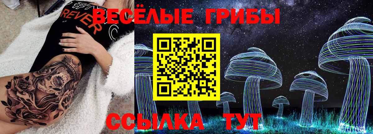 Псилоцибиновые грибы прущие грибы  Вход с VPN  Кондопога 